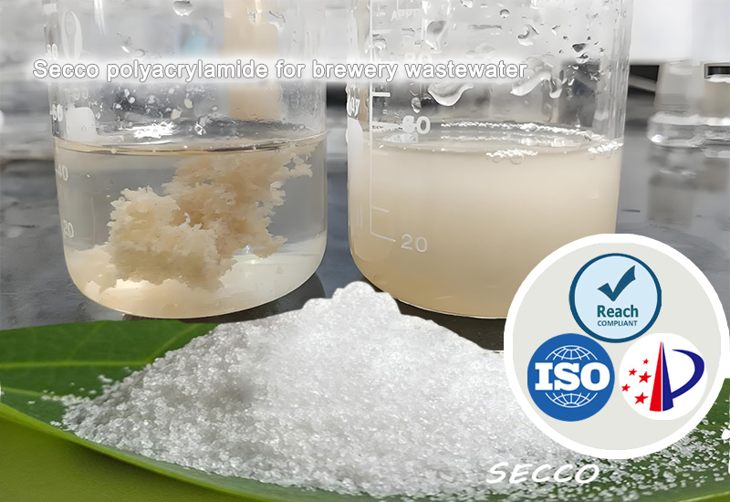 Auswahl und Wirksamkeit von Polyacrylamid (PAM) in der Brauerei-Abwasserbehandlung